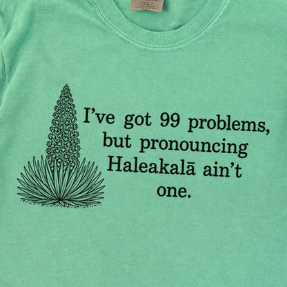 99 Problems Haleakala Ain't One Premium Long Sleeve