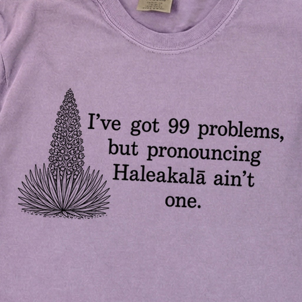 99 Problems Haleakala Ain't One Premium Long Sleeve