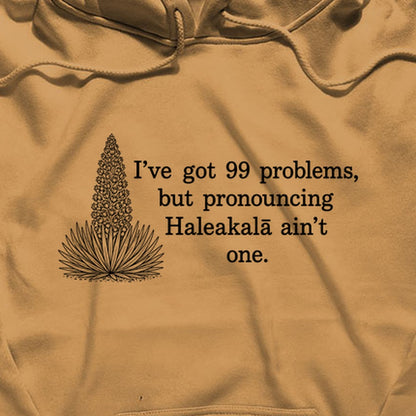 99 Problems Haleakala Ain't One Hoodie