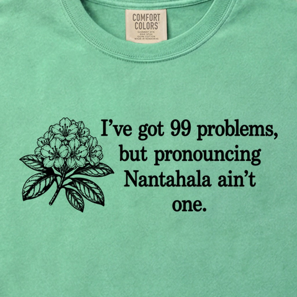 99 Problems Nantahala Ain't One Cotton T-Shirt