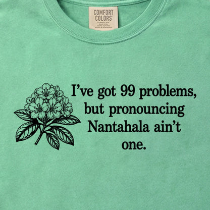 99 Problems Nantahala Ain't One Cotton T-Shirt