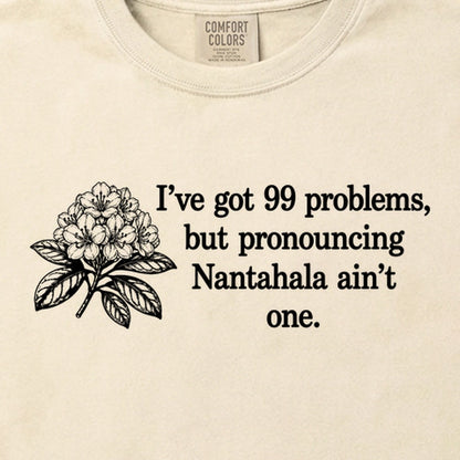 99 Problems Nantahala Ain't One Cotton T-Shirt
