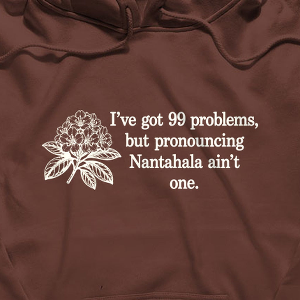 99 Problems Nantahala Ain't One Hoodie