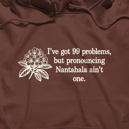 99 Problems Nantahala Ain't One Hoodie