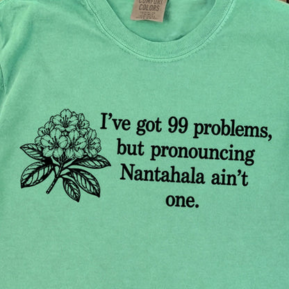 99 Problems Nantahala Ain't One Premium Long Sleeve