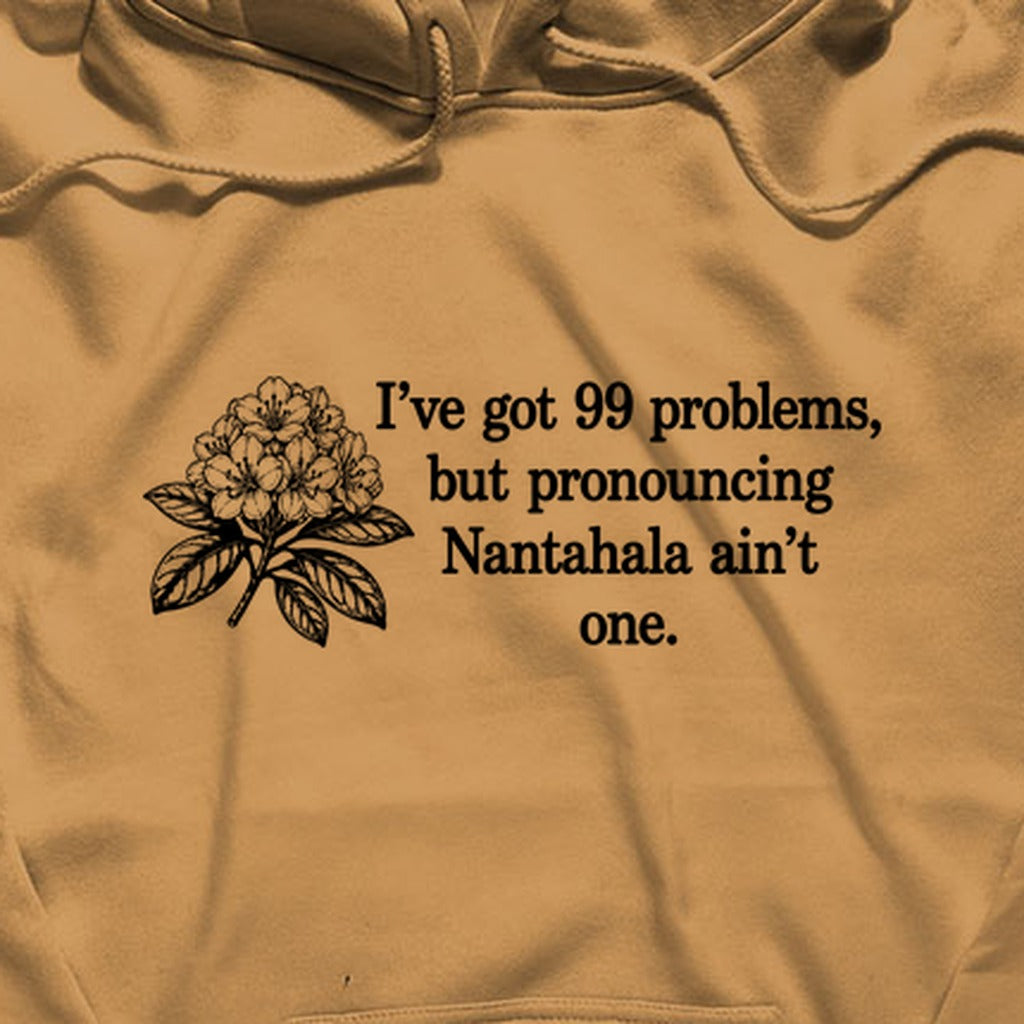 99 Problems Nantahala Ain't One Hoodie