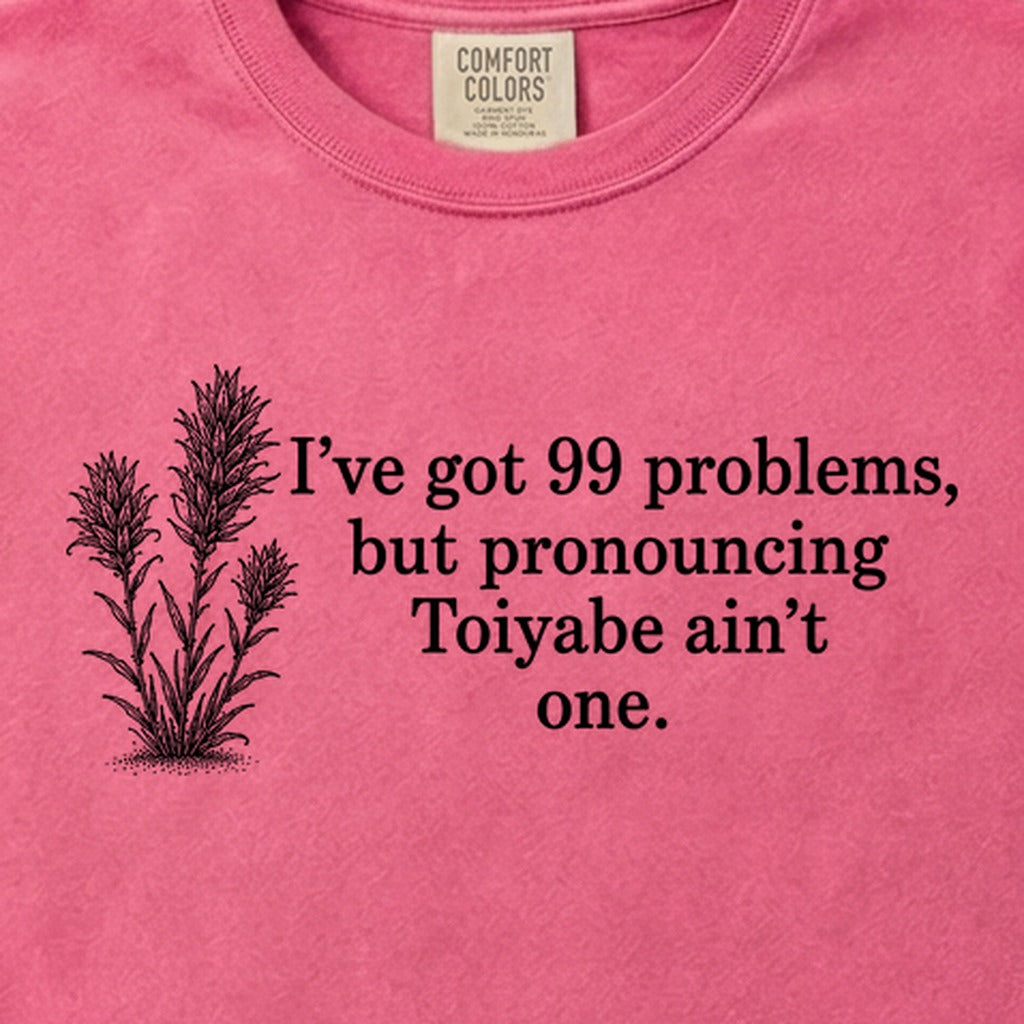 99 Problems Toiyabe Ain't One Cotton T-Shirt