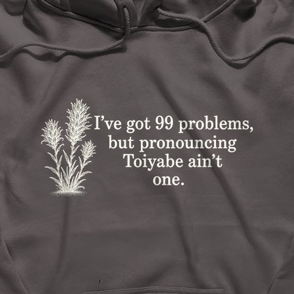 99 Problems Toiyabe Ain't One Hoodie
