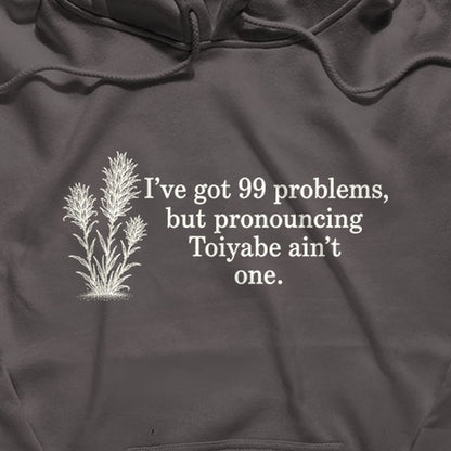 99 Problems Toiyabe Ain't One Hoodie