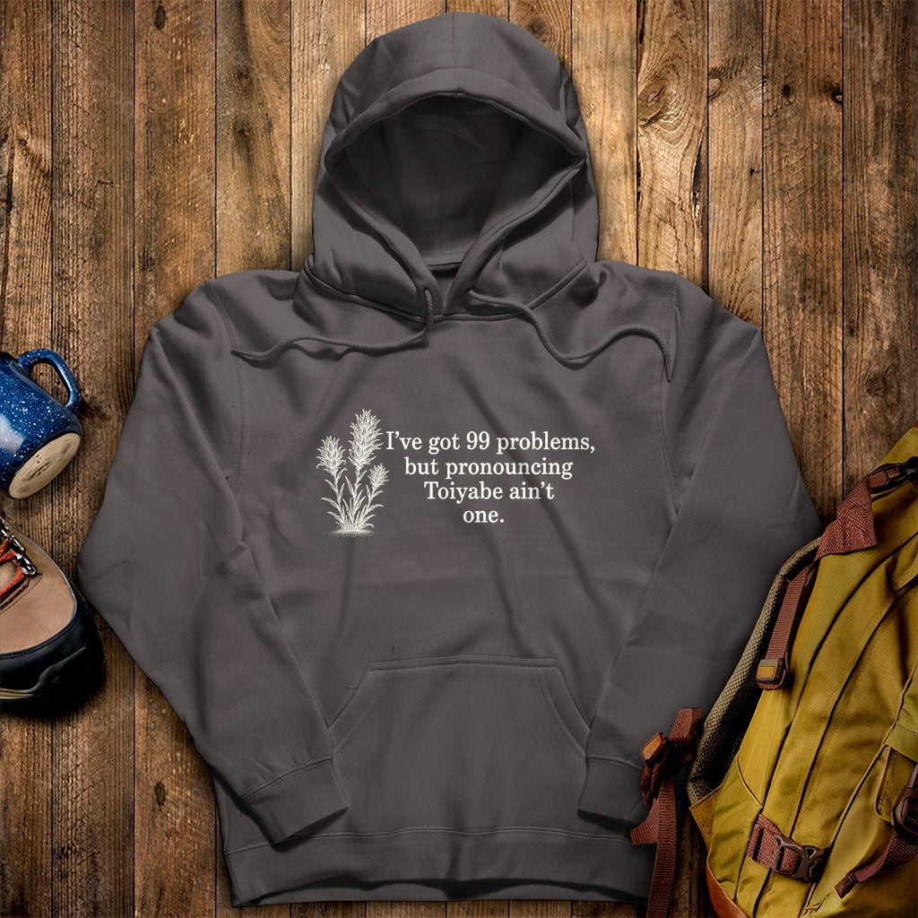 99 Problems Toiyabe Ain't One Hoodie