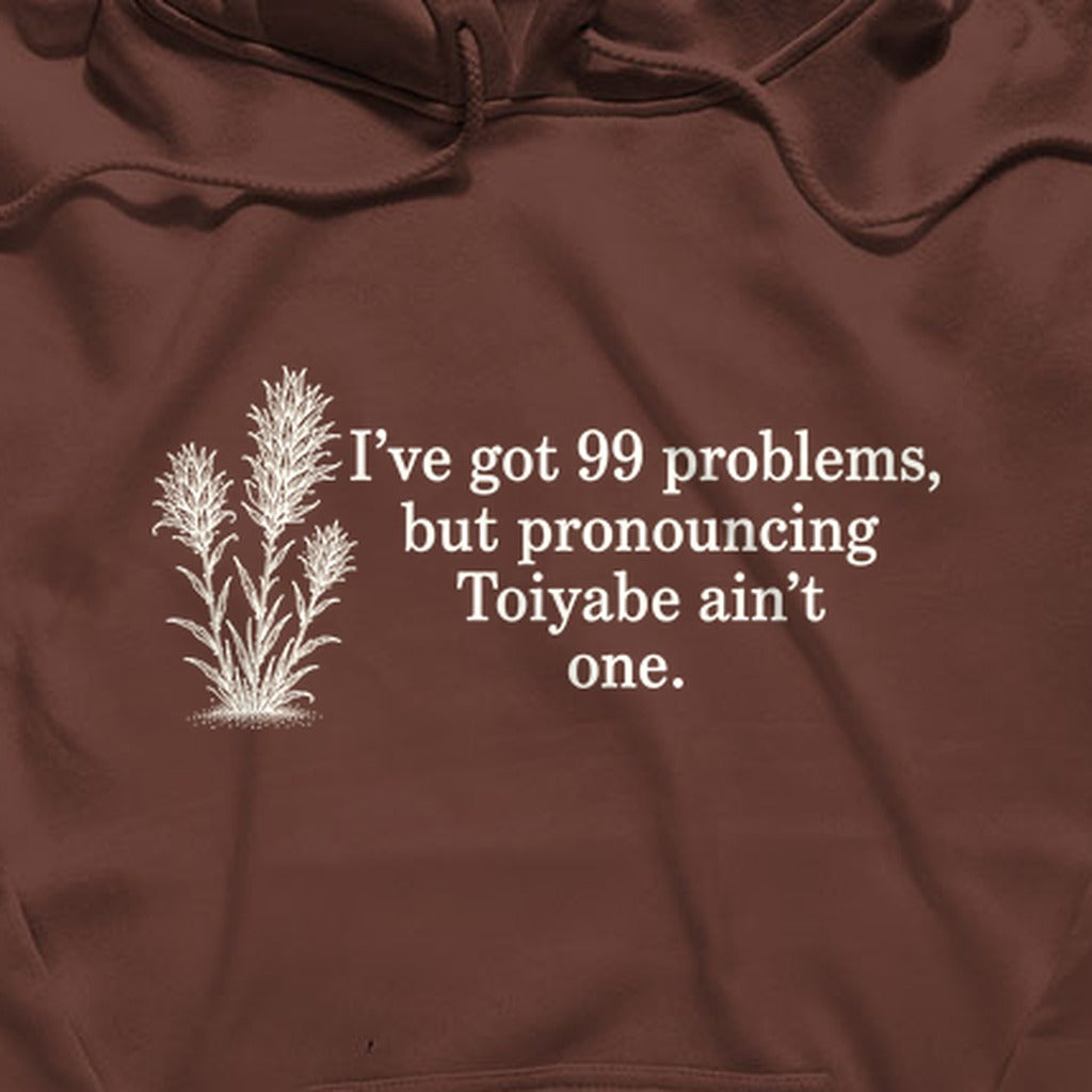 99 Problems Toiyabe Ain't One Hoodie