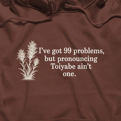 99 Problems Toiyabe Ain't One Hoodie