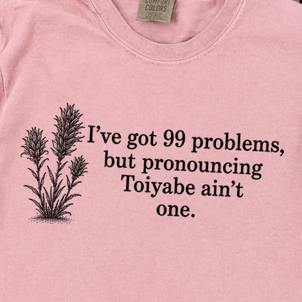 99 Problems Toiyabe Ain't One Premium Long Sleeve