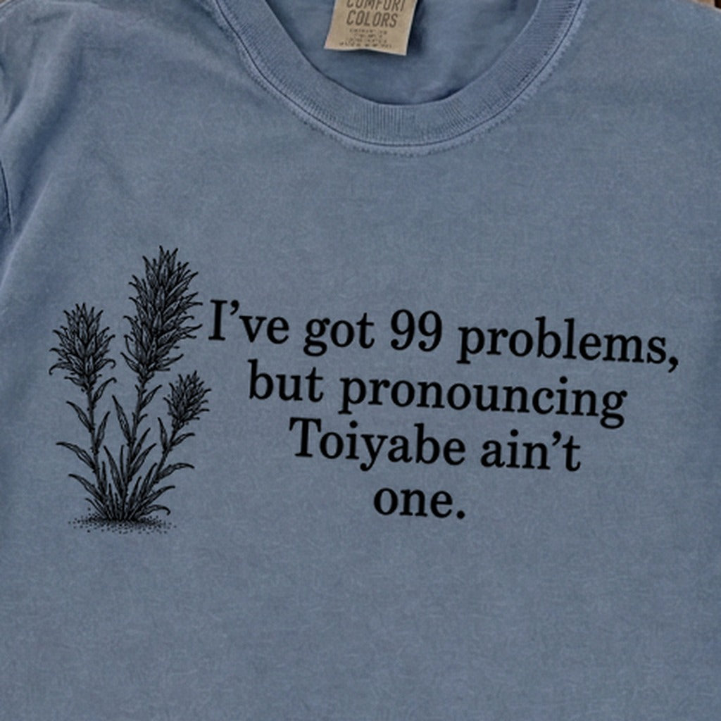 99 Problems Toiyabe Ain't One Premium Long Sleeve