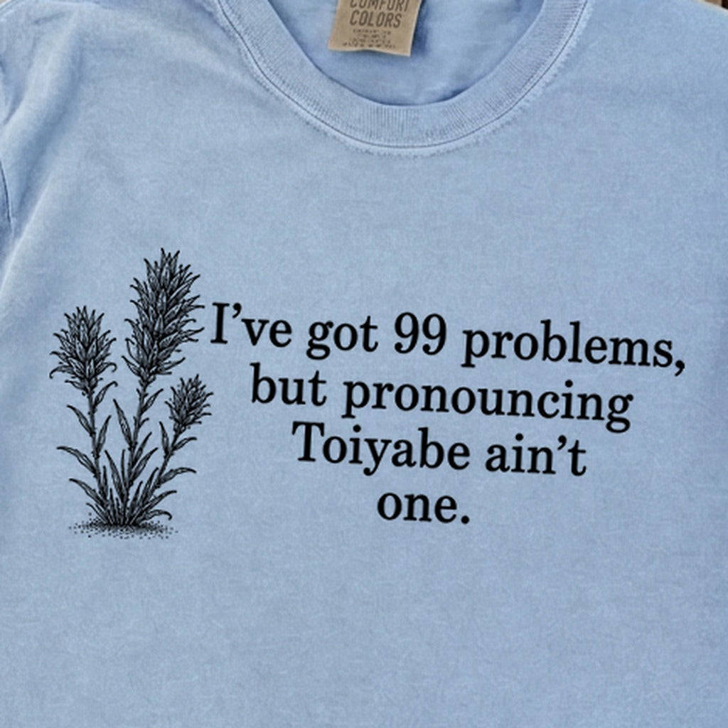 99 Problems Toiyabe Ain't One Premium Long Sleeve