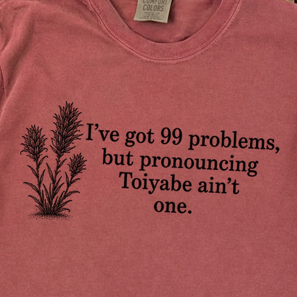 99 Problems Toiyabe Ain't One Premium Long Sleeve