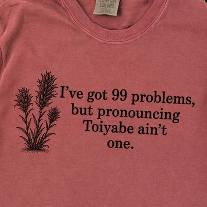 99 Problems Toiyabe Ain't One Premium Long Sleeve