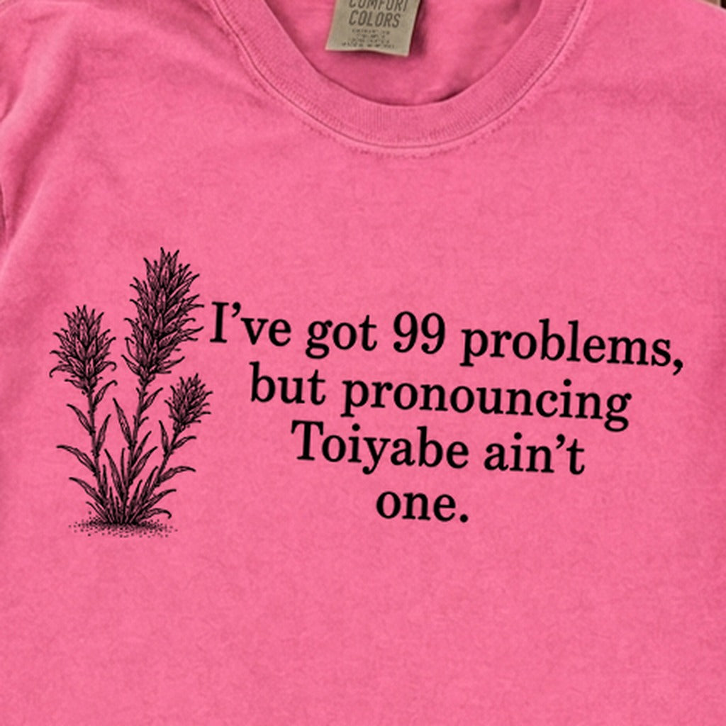 99 Problems Toiyabe Ain't One Premium Long Sleeve