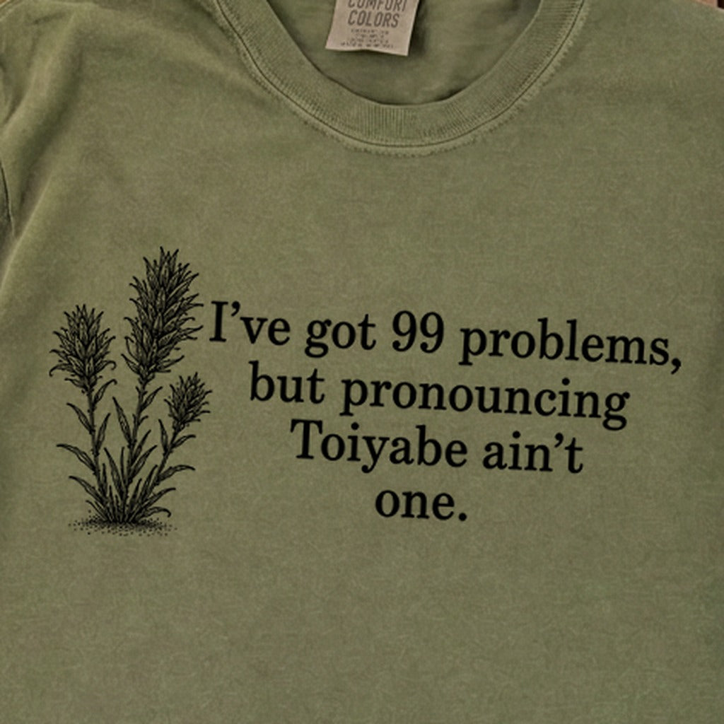99 Problems Toiyabe Ain't One Premium Long Sleeve
