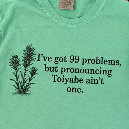 99 Problems Toiyabe Ain't One Premium Long Sleeve