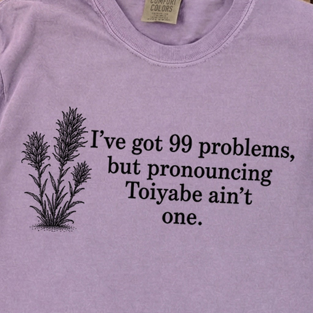 99 Problems Toiyabe Ain't One Premium Long Sleeve