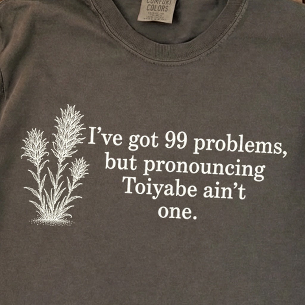 99 Problems Toiyabe Ain't One Premium Long Sleeve