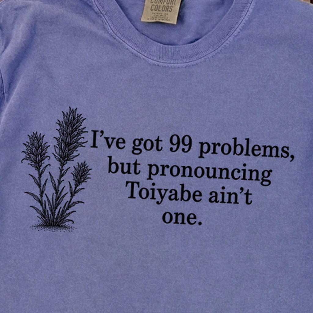 99 Problems Toiyabe Ain't One Premium Long Sleeve