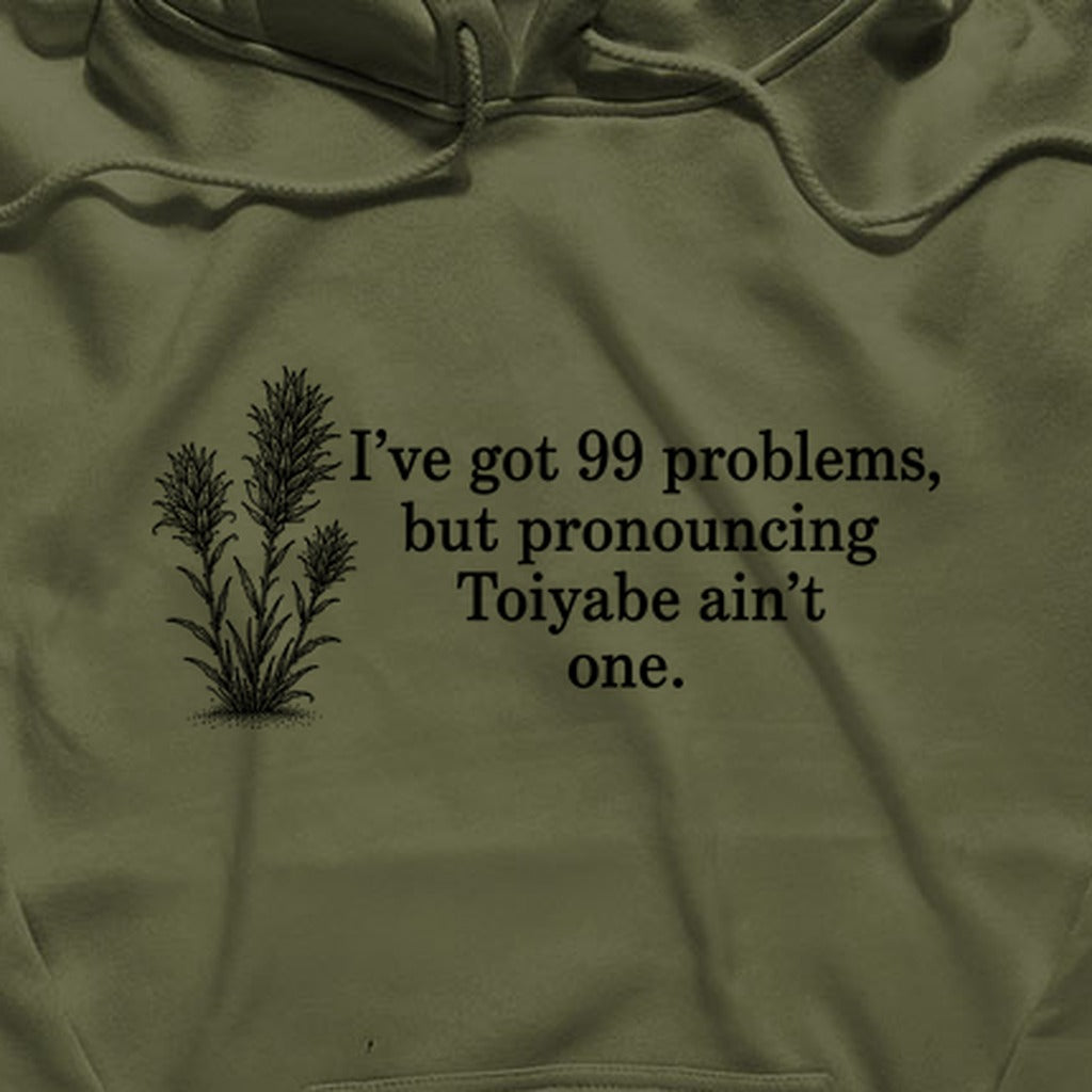 99 Problems Toiyabe Ain't One Hoodie