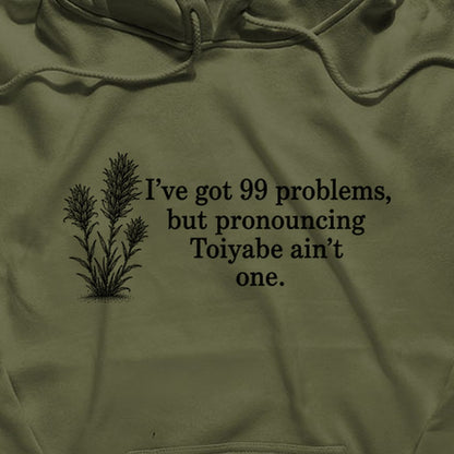 99 Problems Toiyabe Ain't One Hoodie