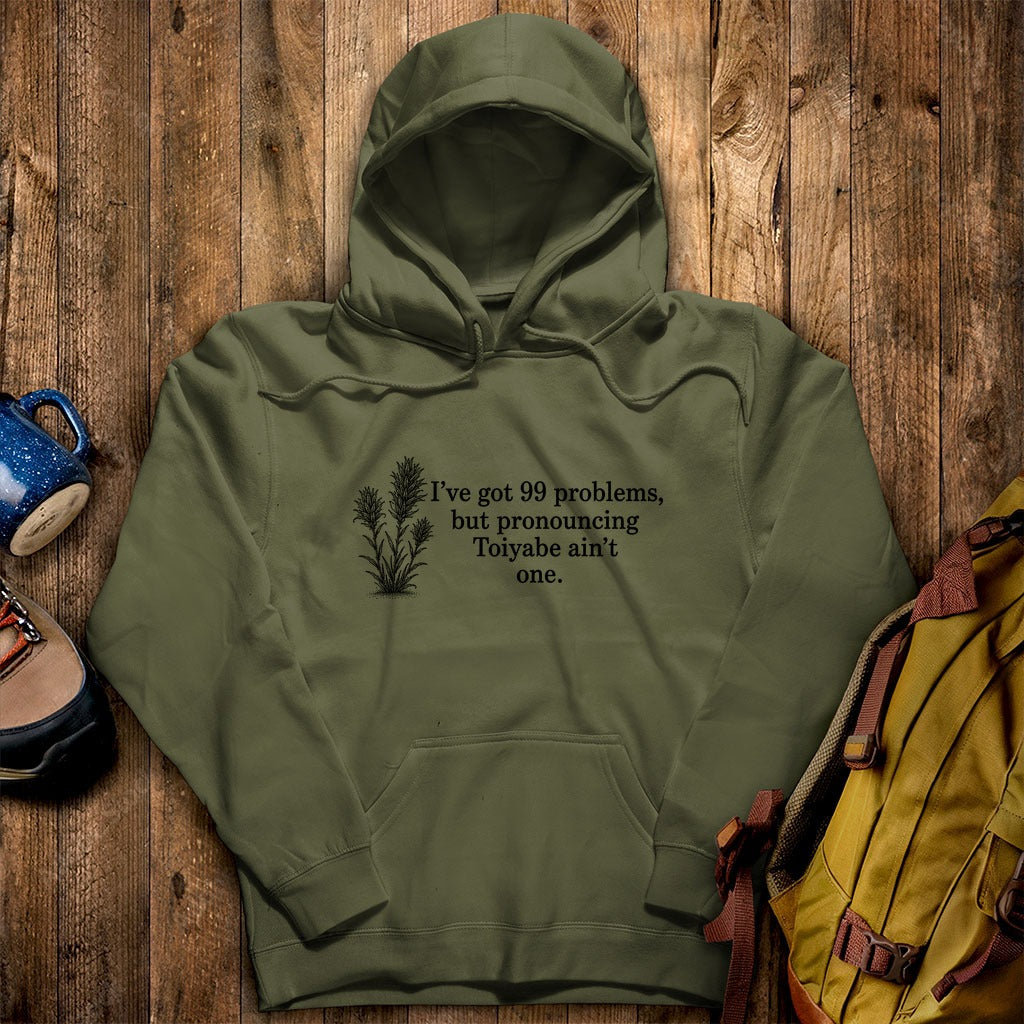 99 Problems Toiyabe Ain't One Hoodie