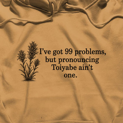 99 Problems Toiyabe Ain't One Hoodie