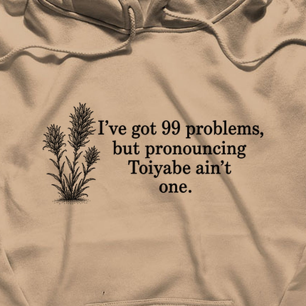 99 Problems Toiyabe Ain't One Hoodie