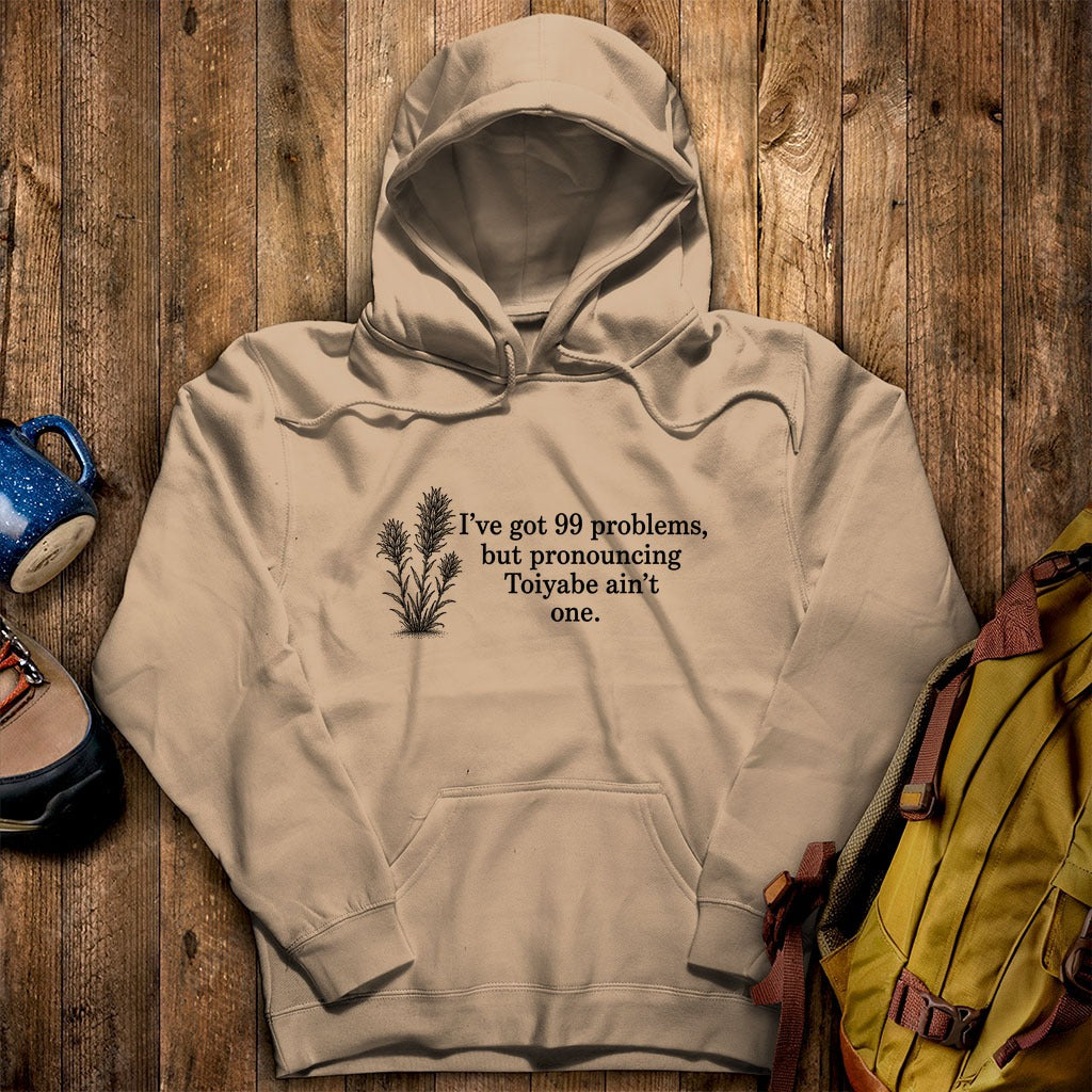 99 Problems Toiyabe Ain't One Hoodie