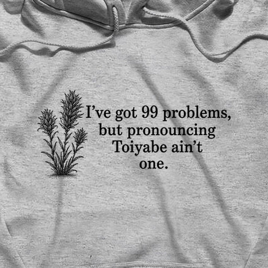 99 Problems Toiyabe Ain't One Hoodie