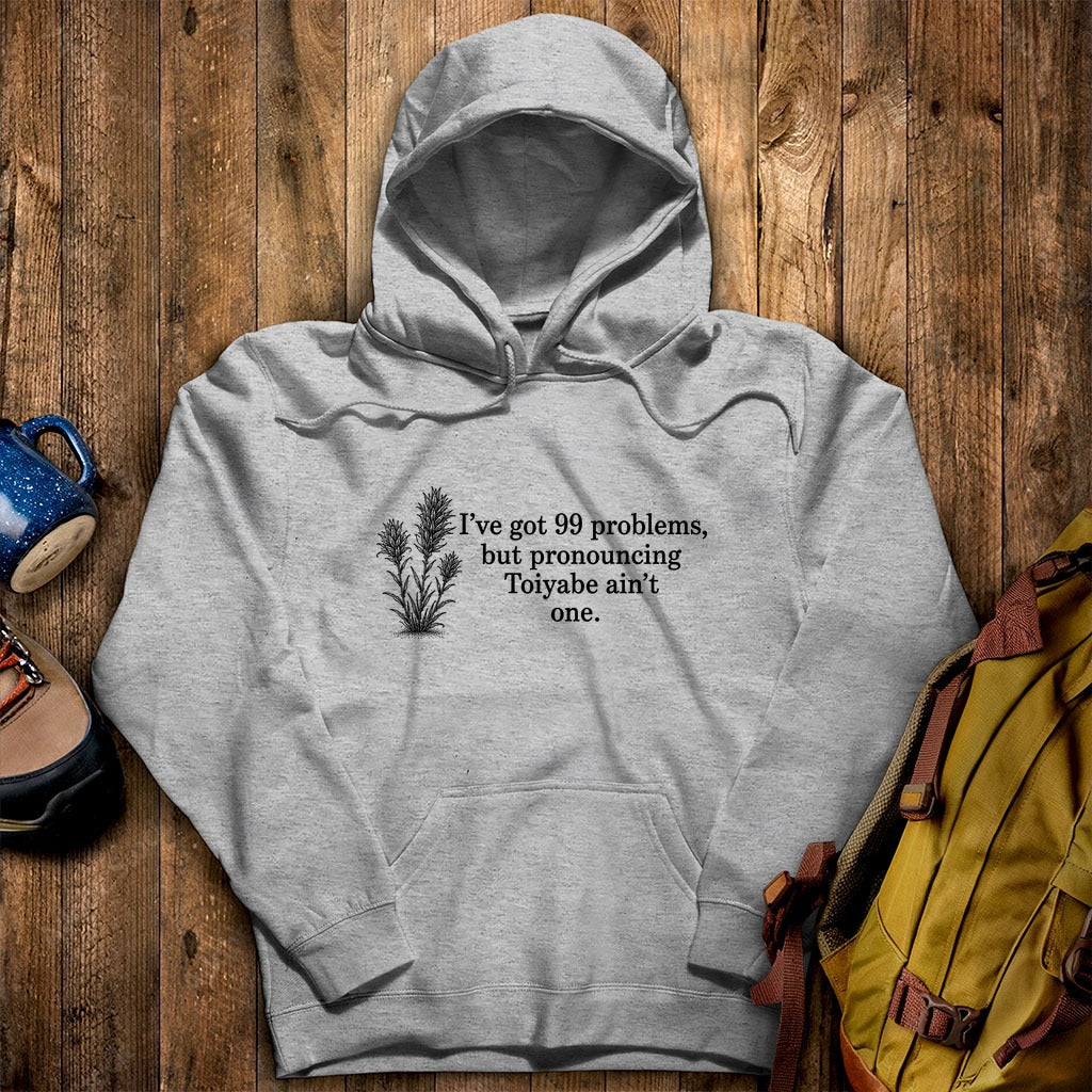 99 Problems Toiyabe Ain't One Hoodie