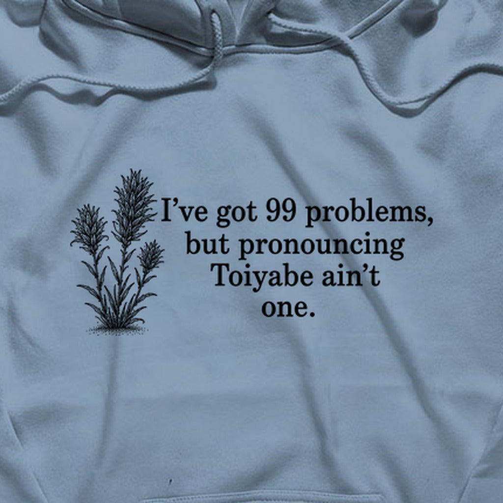 99 Problems Toiyabe Ain't One Hoodie