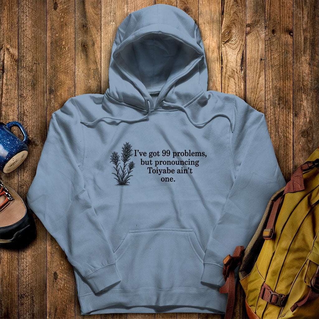 99 Problems Toiyabe Ain't One Hoodie
