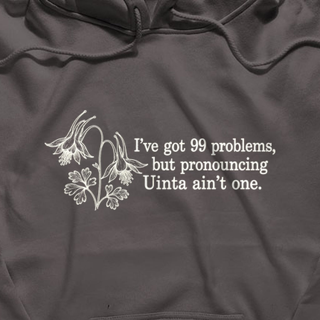 99 Problems Uinta Ain't One Hoodie