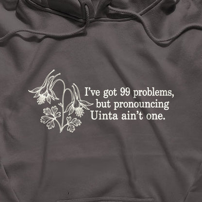 99 Problems Uinta Ain't One Hoodie