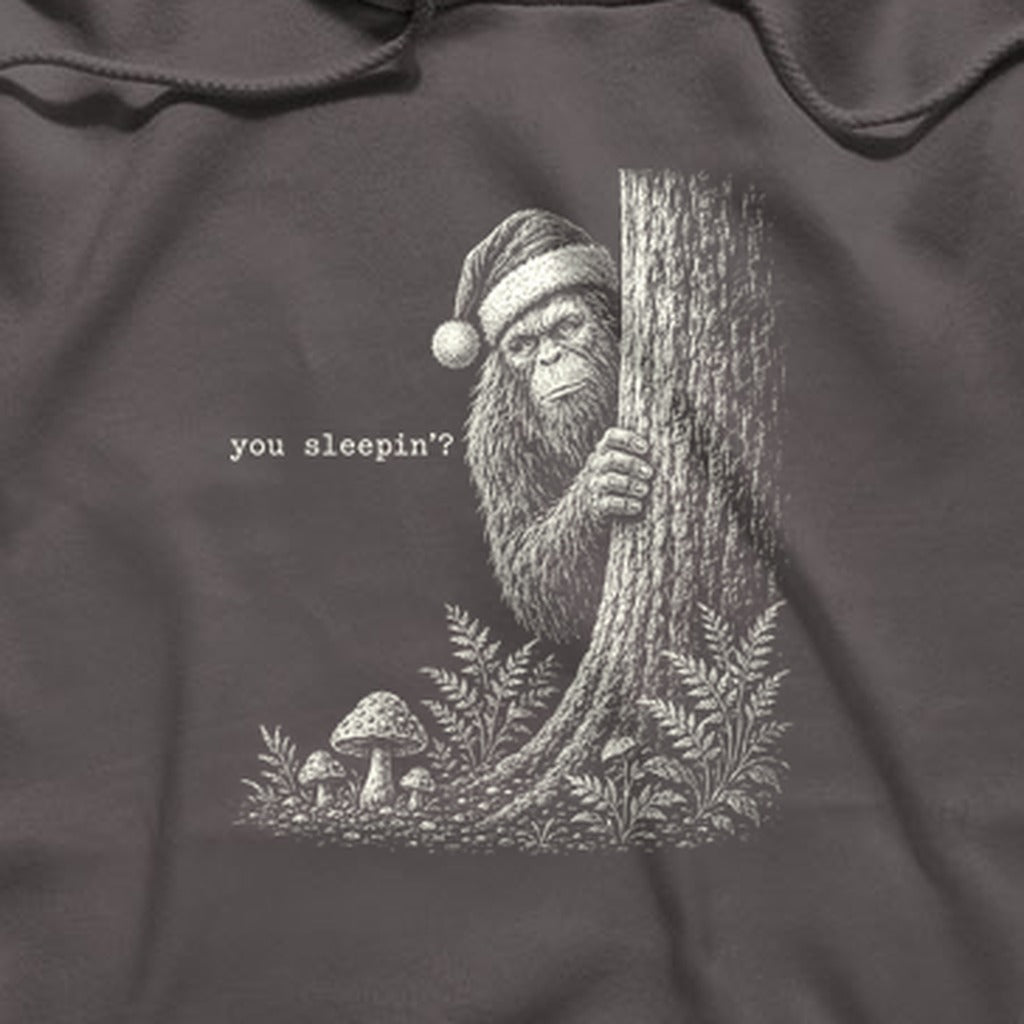 Sasquatch Santa You Sleepin Hoodie