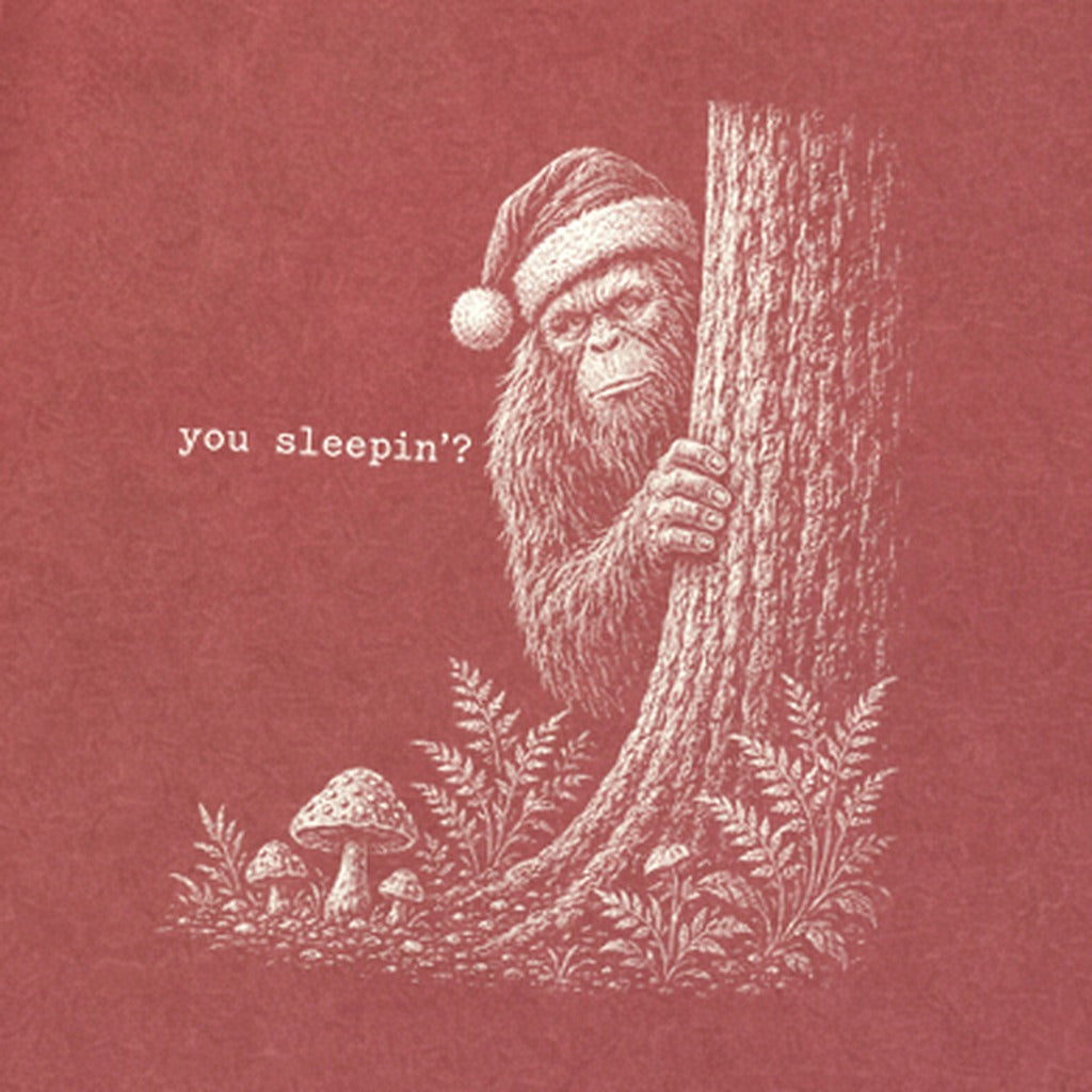 Sasquatch Santa You Sleepin Premium Long Sleeve