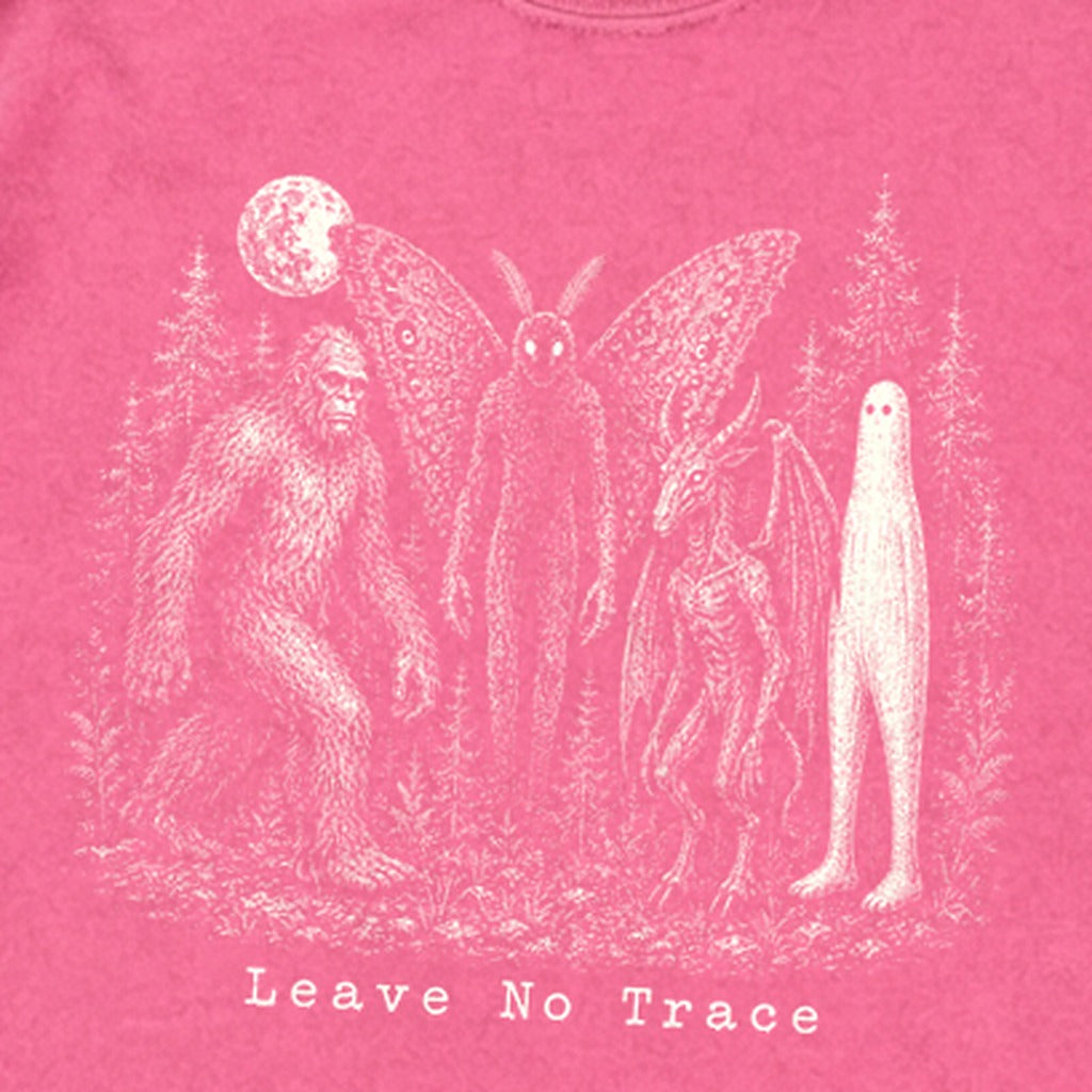 Bigfoot Mothman Jersey Devil Nightcrawler Leave No Trace Premium Long Sleeve