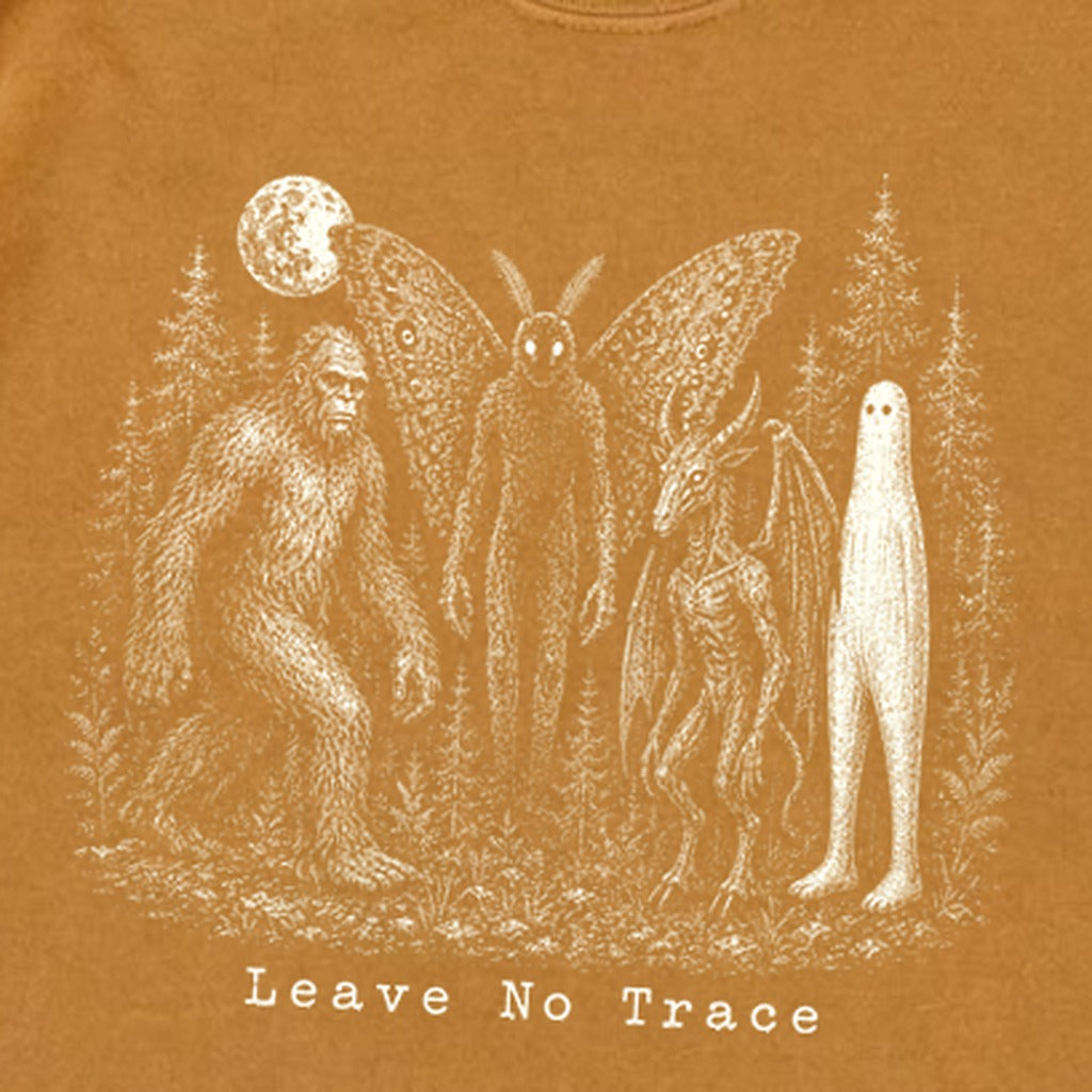 Bigfoot Mothman Jersey Devil Nightcrawler Leave No Trace Premium Long Sleeve