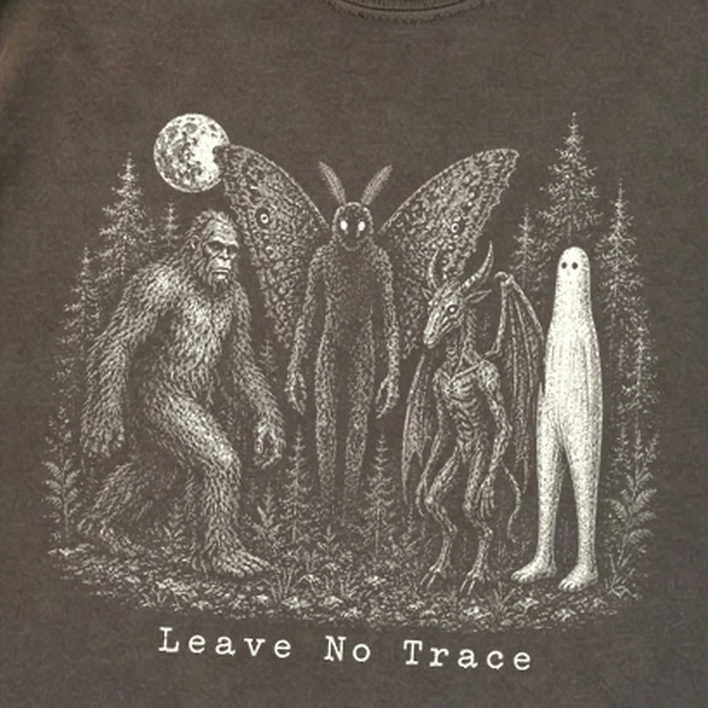 Bigfoot Mothman Jersey Devil Nightcrawler Leave No Trace Premium Long Sleeve