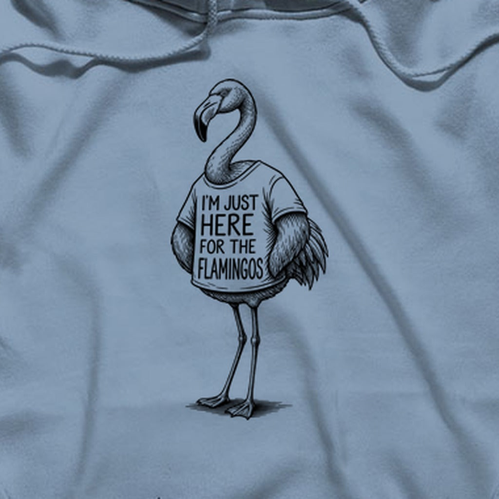 I'm Just Here for the Flamingos Hoodie