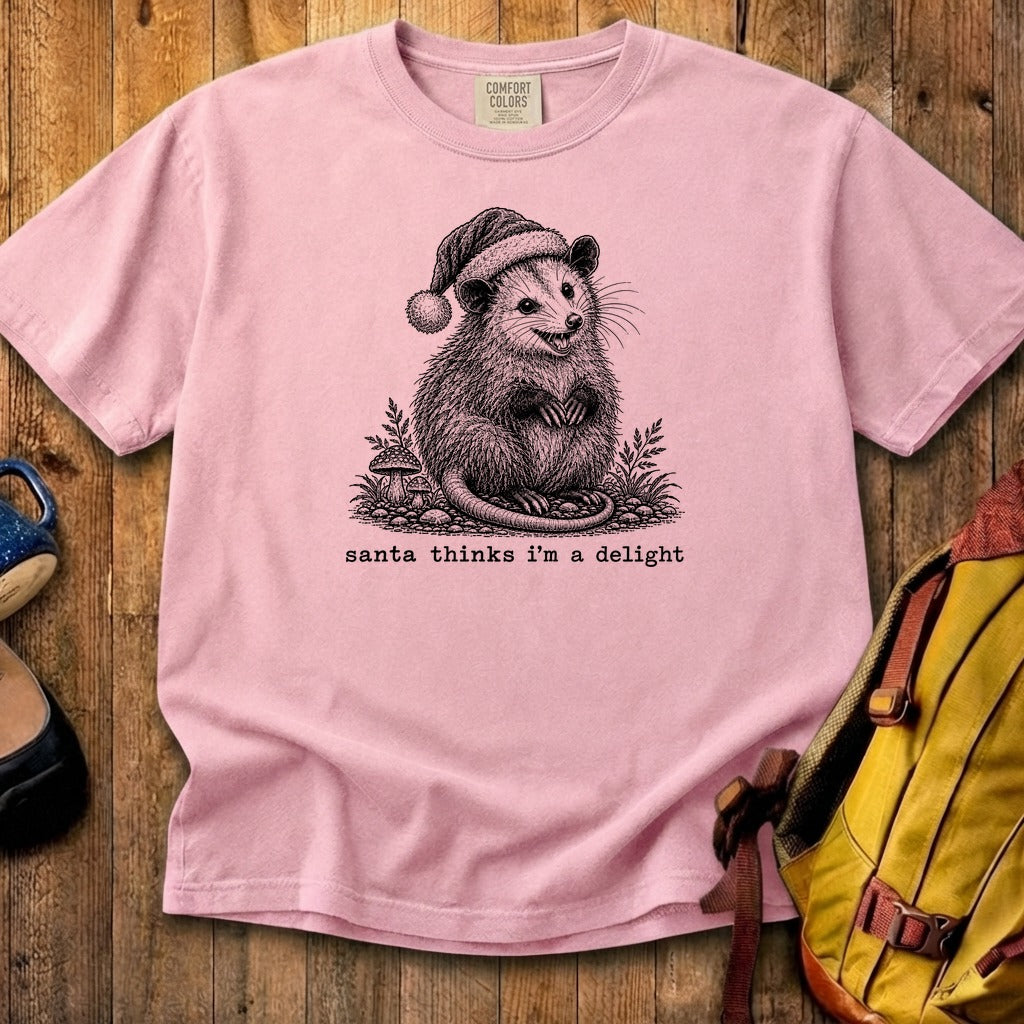 Santa Thinks I Am a Delight Possum Cotton T-Shirt