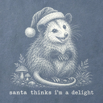 Santa Thinks I Am a Delight Possum Cotton T-Shirt