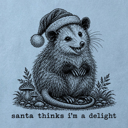 Santa Thinks I Am a Delight Possum Cotton T-Shirt