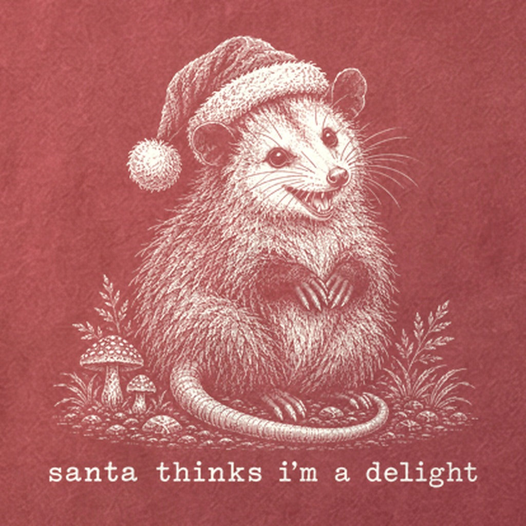 Santa Thinks I Am a Delight Possum Cotton T-Shirt