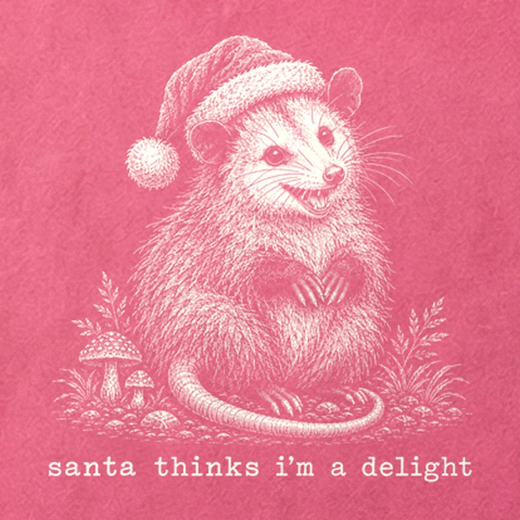Santa Thinks I Am a Delight Possum Cotton T-Shirt